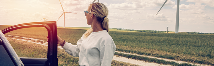 Lądowa farma wiatrowa